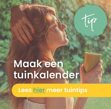 Banners-ForYou.nl
