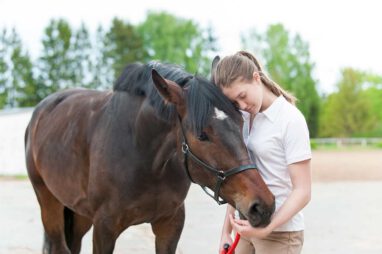 paardencoaching,-zorgboerderij,-schoolproblemen