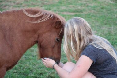paardencoaching