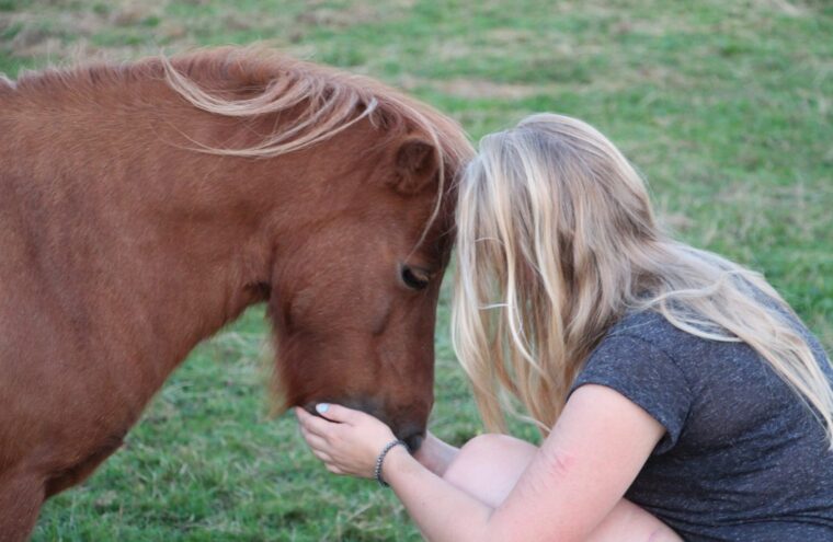 paardencoaching